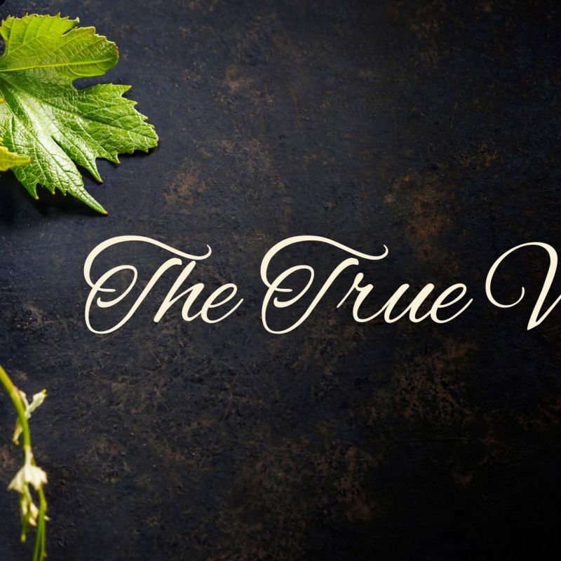 Weekly Reflection 2/25/26