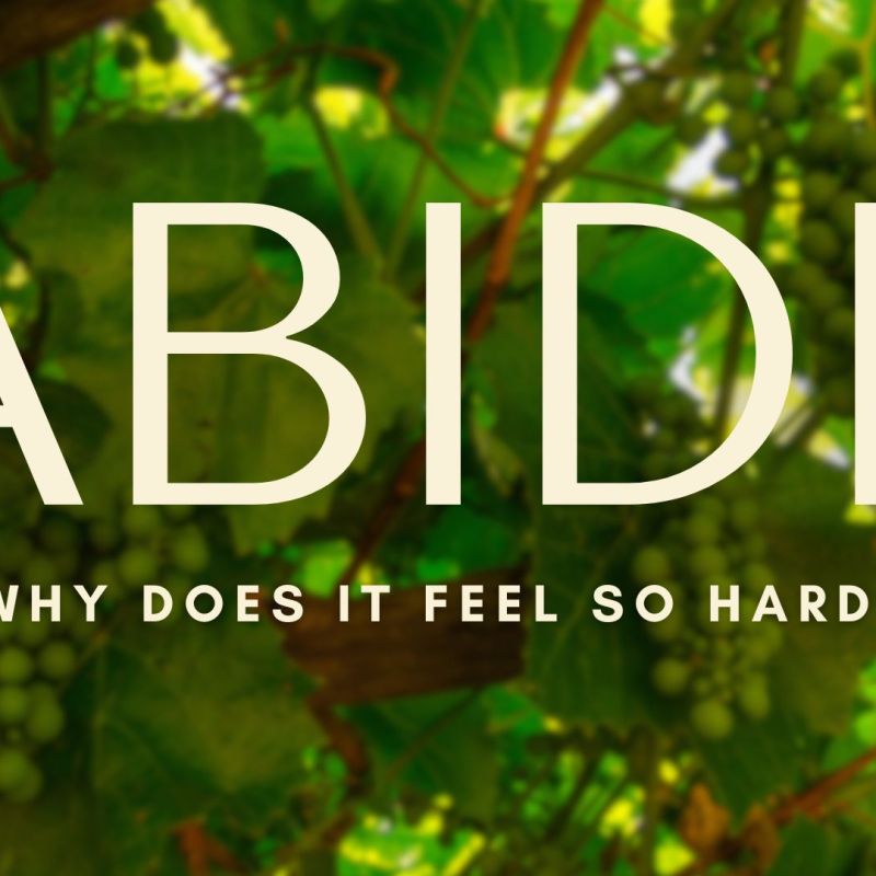 Weekly Reflection 3/26/26