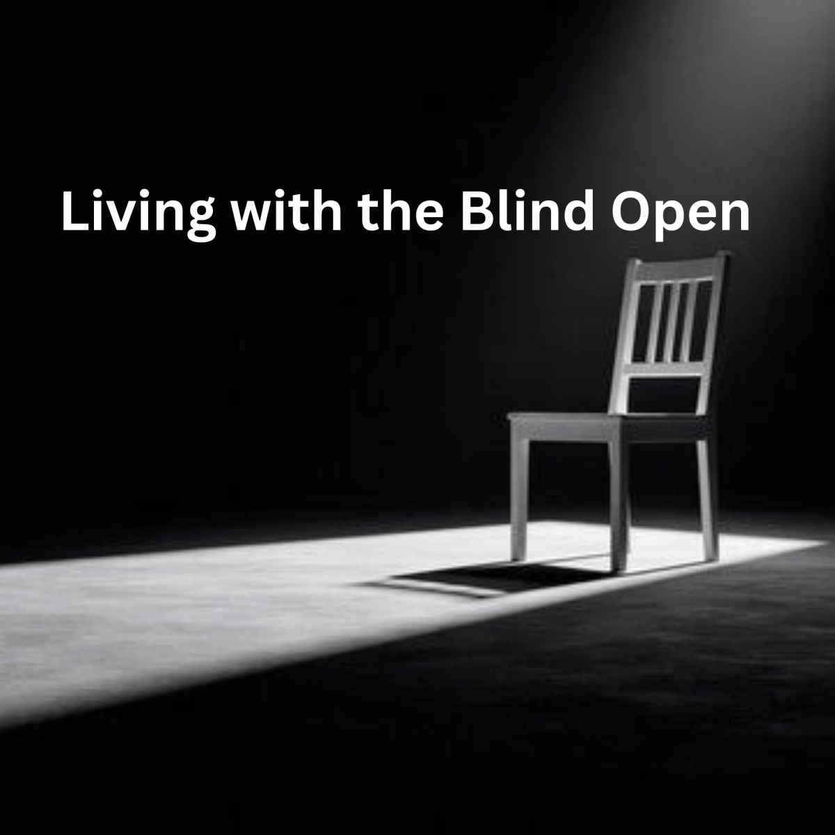 Weekly Reflection 08/25/26: Living with the Blind&nbsp;Open
