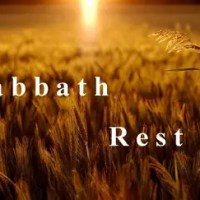 Weekly Reflection 10/13/26